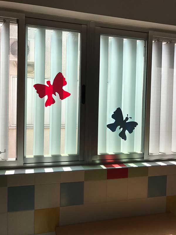 Actividades Comedor CEIP Jardín Botánico 2017